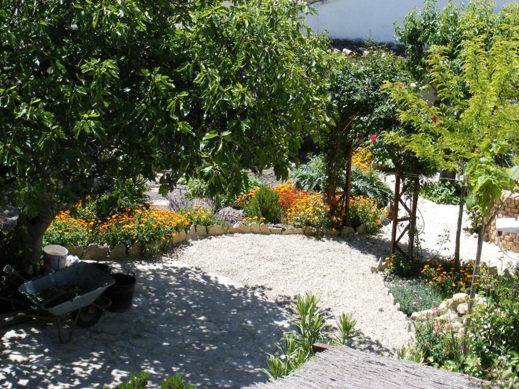 Cortijo Abedules Appartement Cazorla