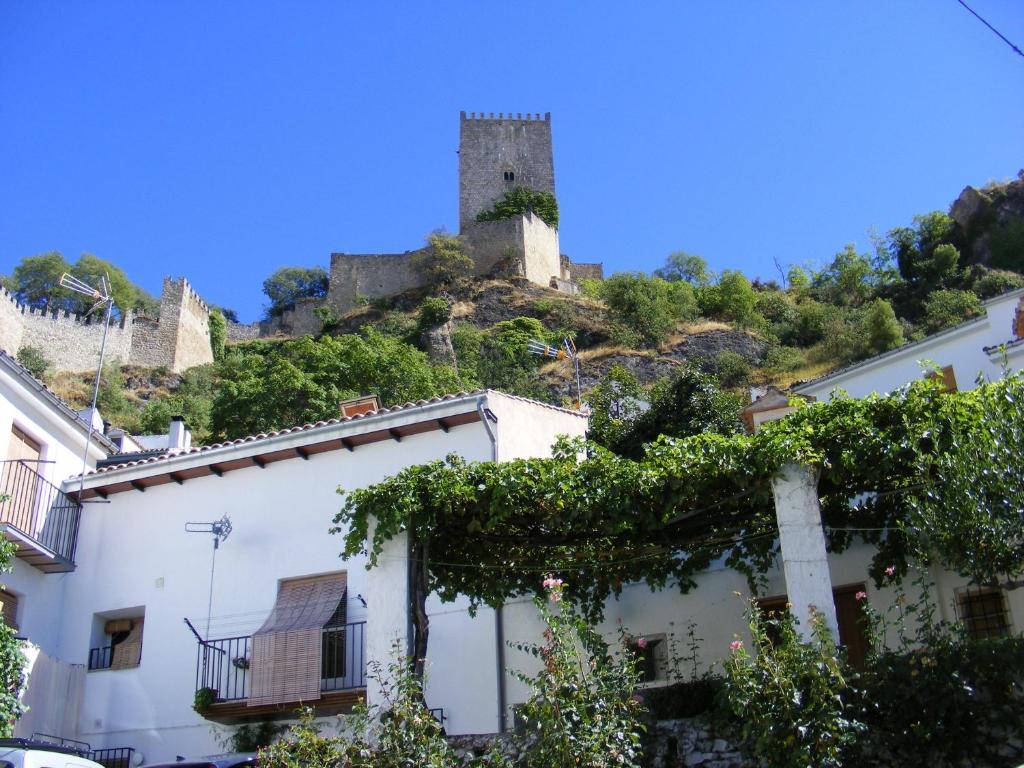 Cortijo Abedules *