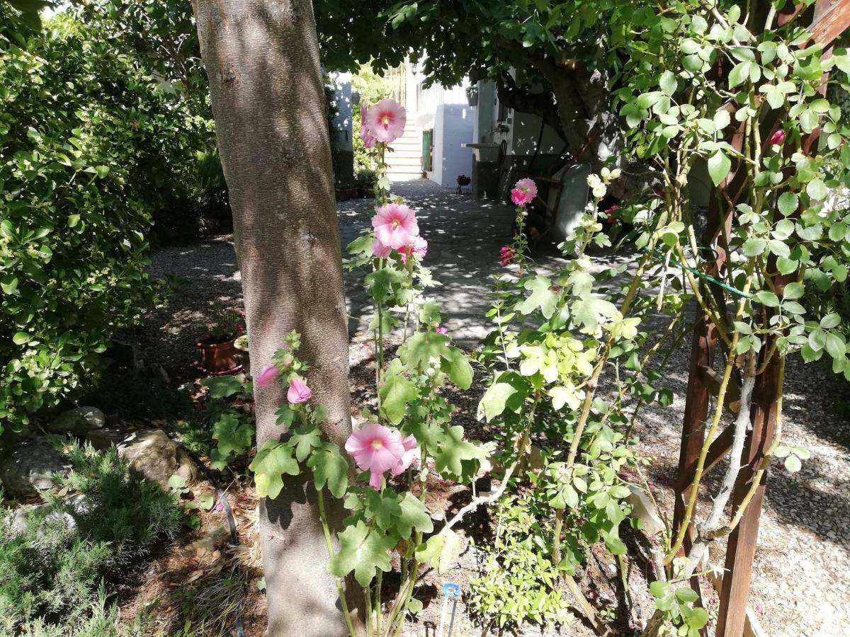 Appartement Cortijo Abedules
